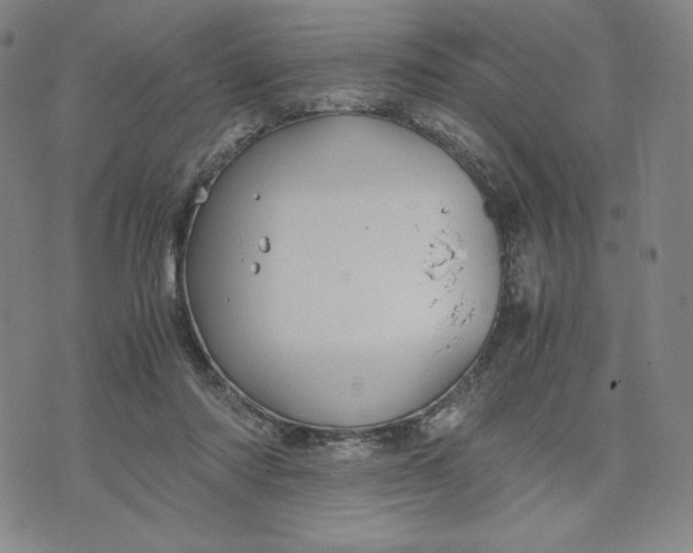 X0000071790310200607211628