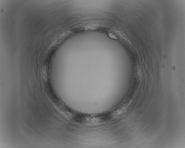 X0000071790311200607211628