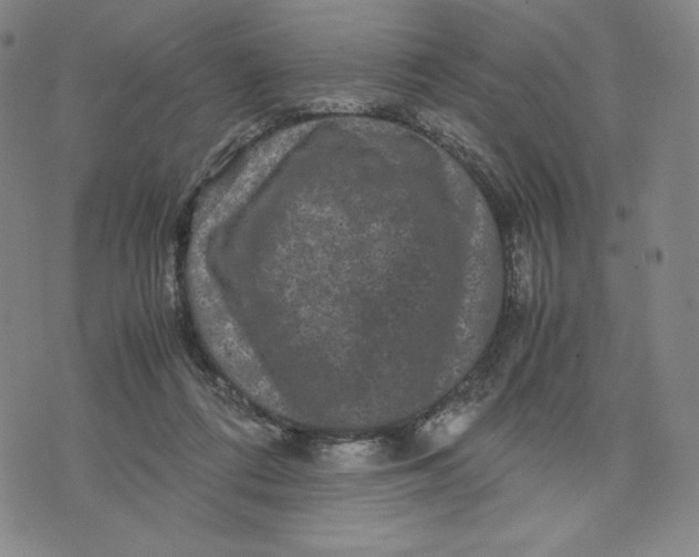 X0000071790312200607211628