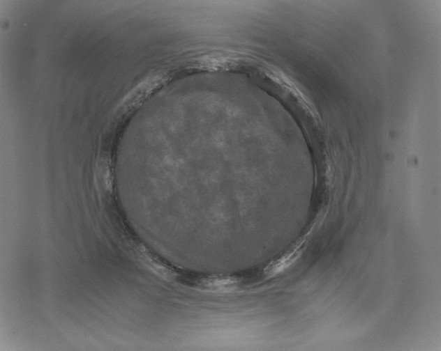 X0000071790313200607211628