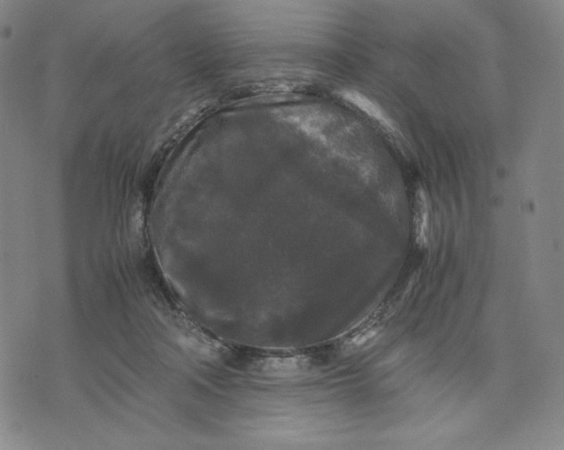 X0000071790314200607211628