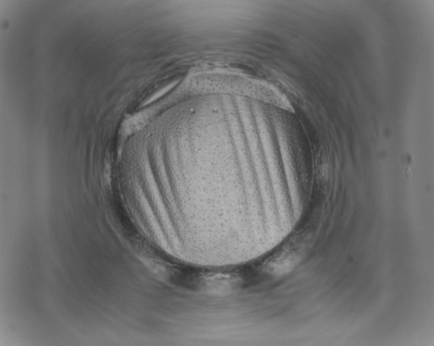 X0000071790315200607211628