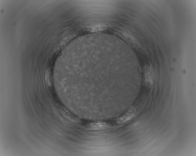 X0000071790316200607211628