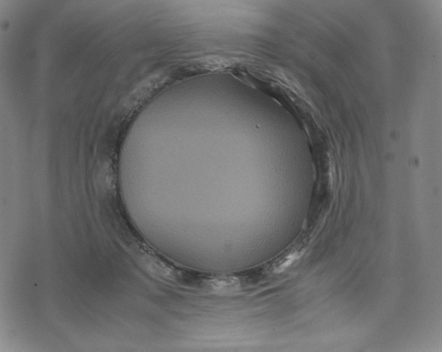 X0000071790317200607211628