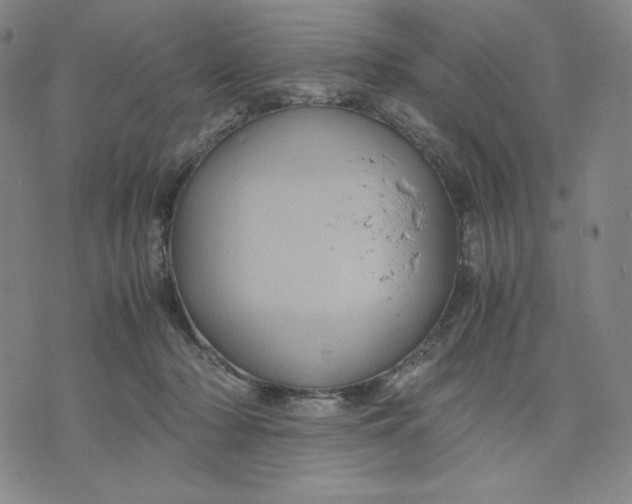 X0000071790318200607211628