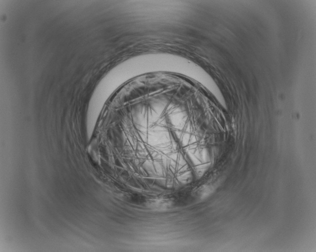 X0000071790319200607211628