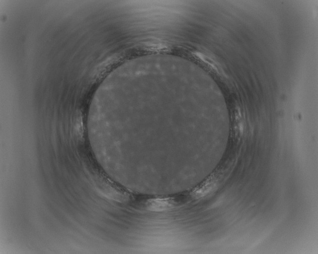 X0000071790320200607211628