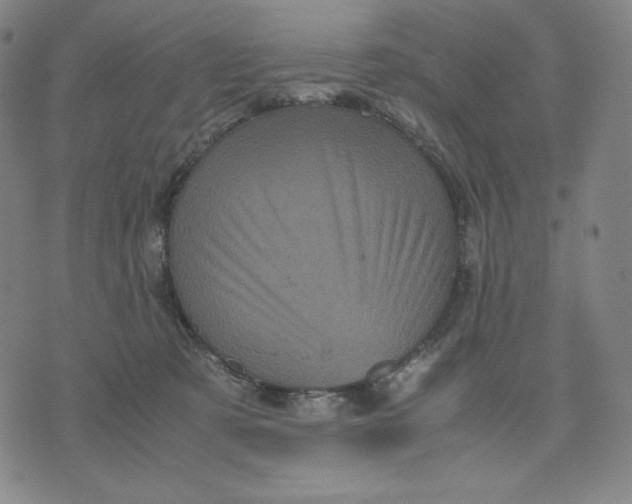 X0000071790321200607211628