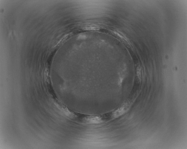 X0000071790322200607211628