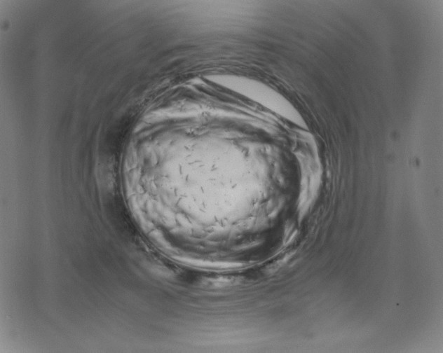 X0000071790323200607211628