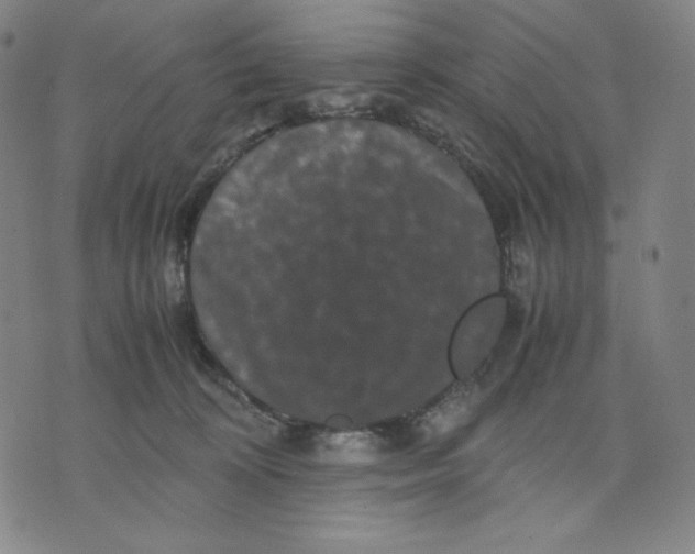 X0000071790324200607211628