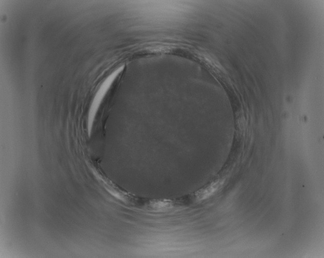 X0000071790325200607211628