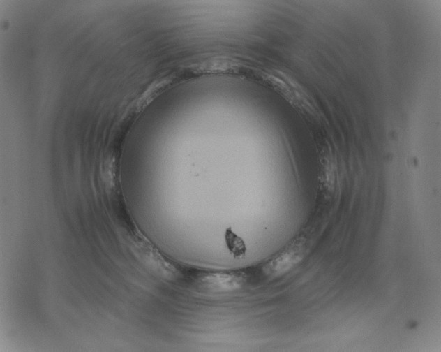 X0000071790326200607211628