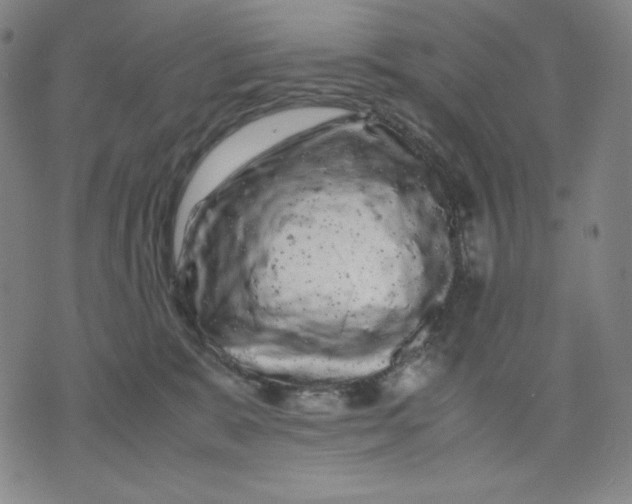 X0000071790327200607211628