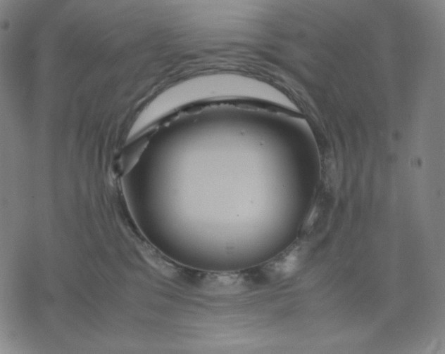 X0000071790329200607211628