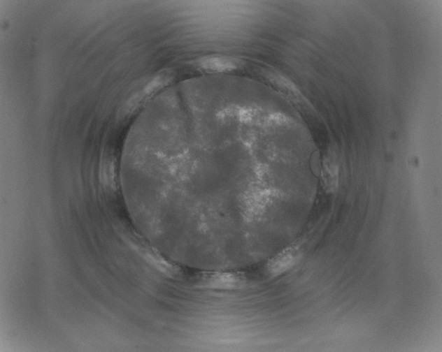 X0000071790330200607211628