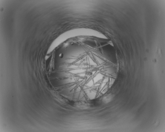 X0000071790331200607211628