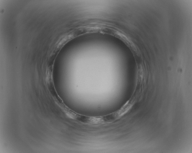 X0000071790333200607211628