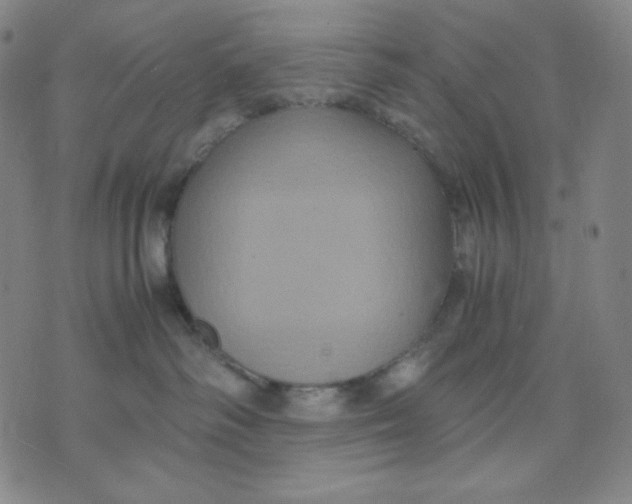 X0000071790334200607211628