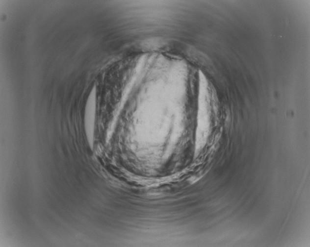 X0000071790335200607211628