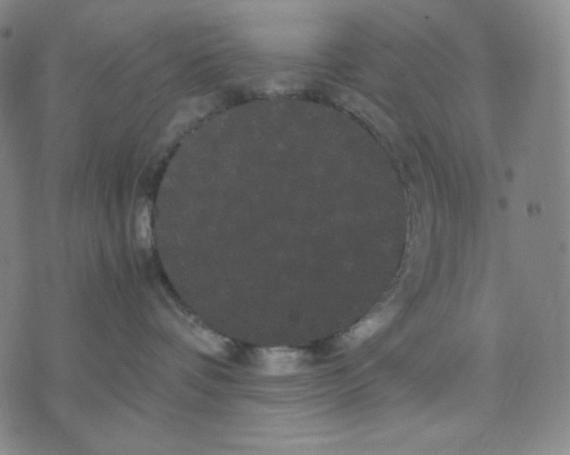 X0000071790336200607211628