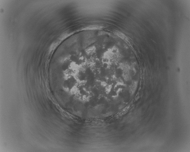 X0000071790337200607211627