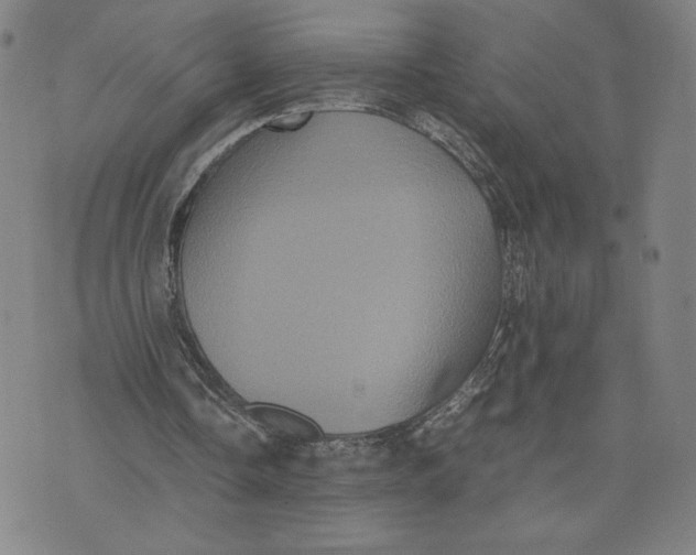 X0000071790338200607211627