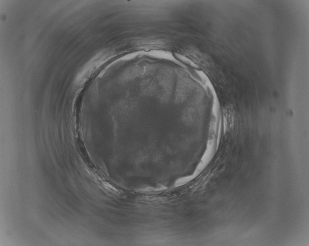 X0000071790339200607211627