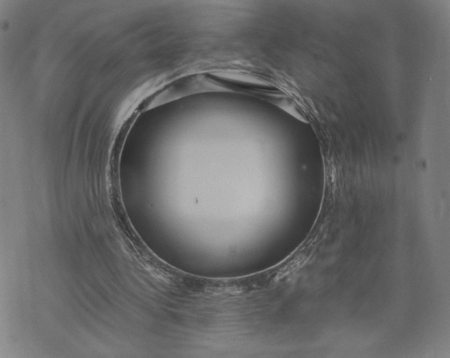 X0000071790340200607211627