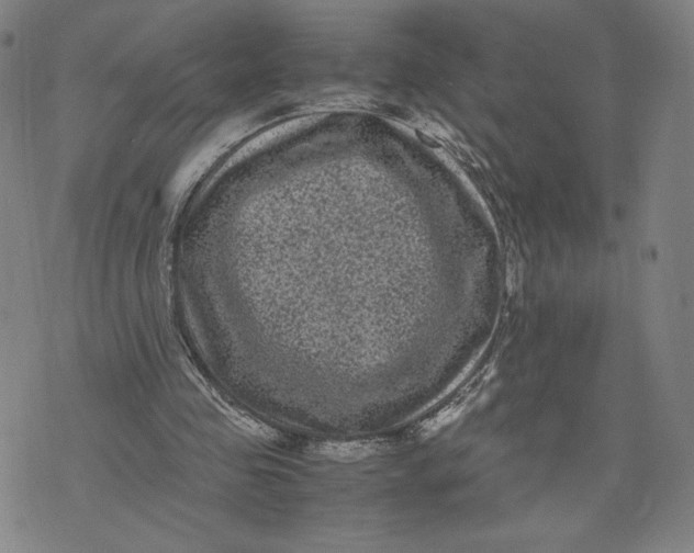 X0000071790341200607211627