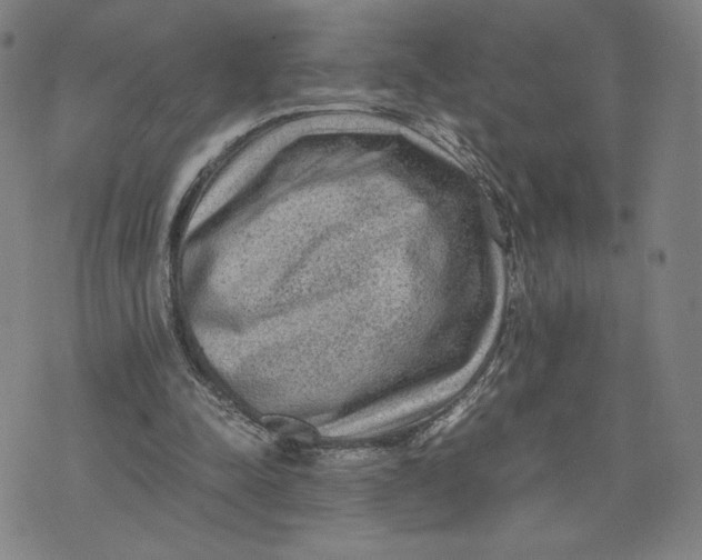 X0000071790342200607211627