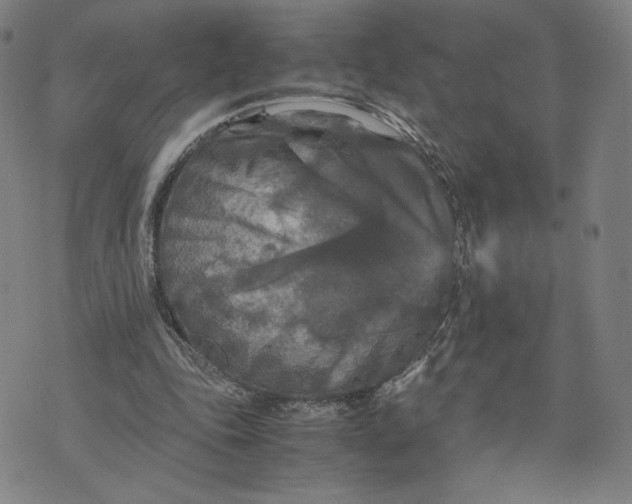 X0000071790343200607211627