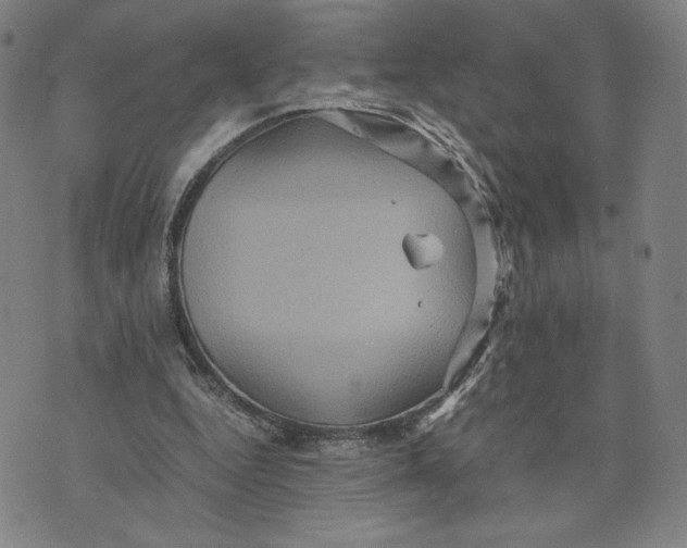 X0000071790344200607211627