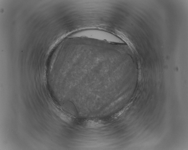 X0000071790346200607211627