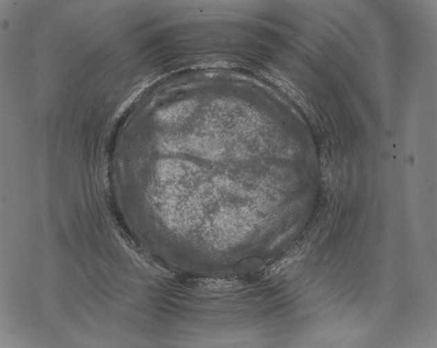 X0000071790347200607211627