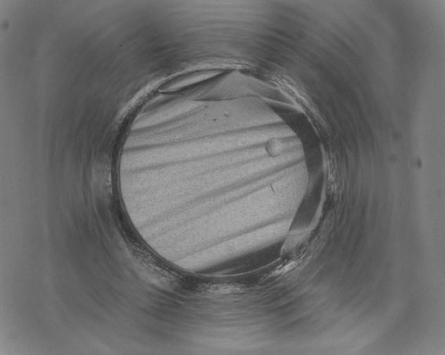 X0000071790348200607211627