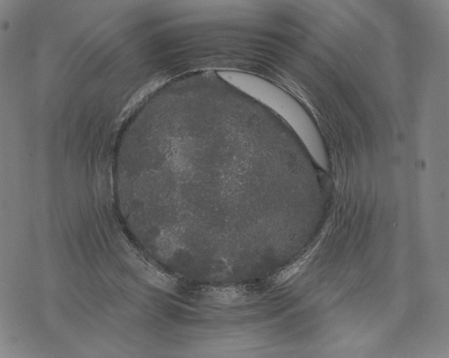 X0000071790349200607211628