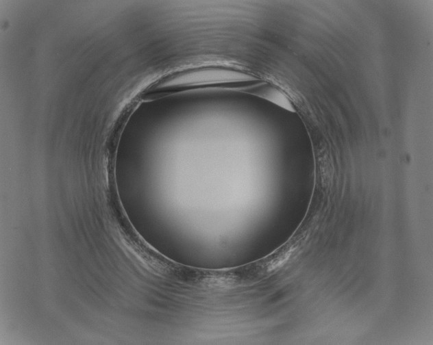 X0000071790350200607211628