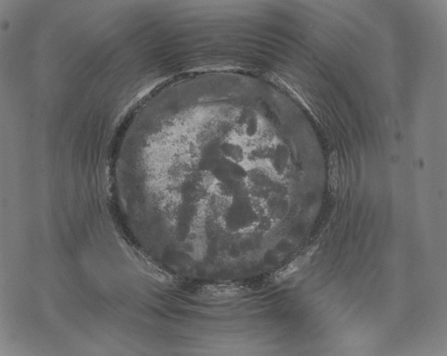 X0000071790351200607211628