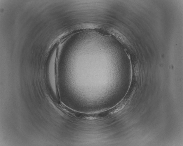 X0000071790352200607211628