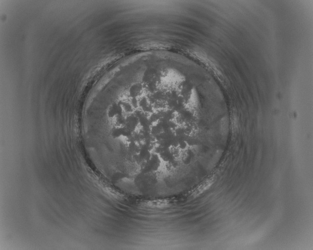 X0000071790353200607211628