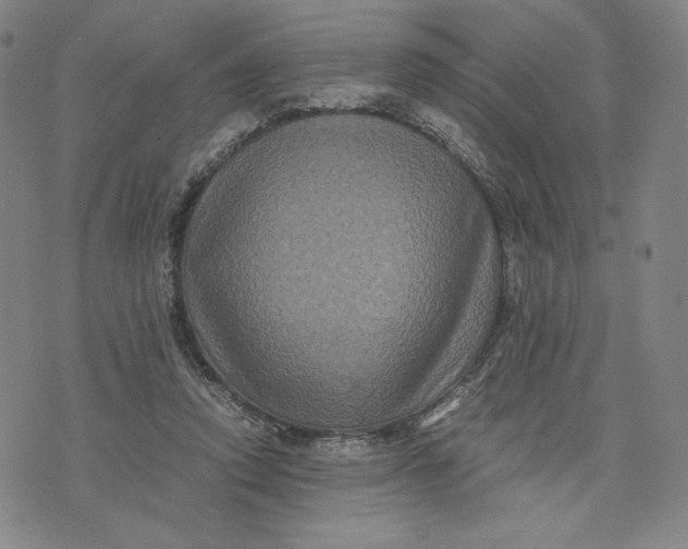 X0000071790354200607211628