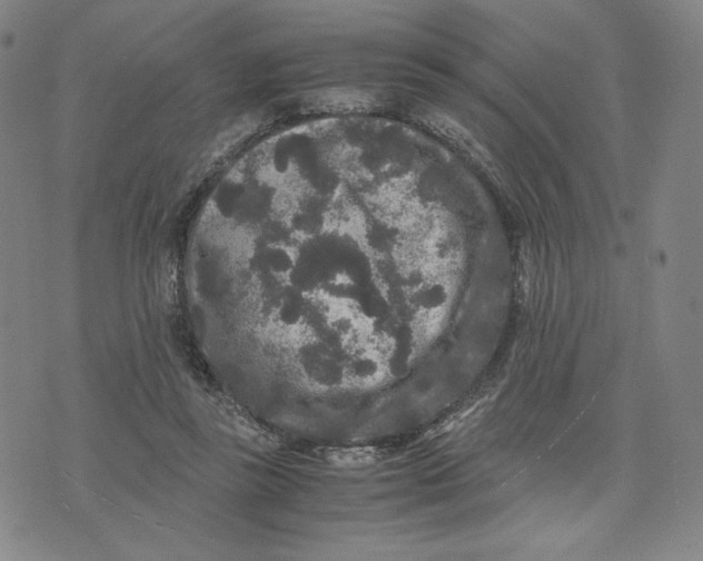 X0000071790355200607211628