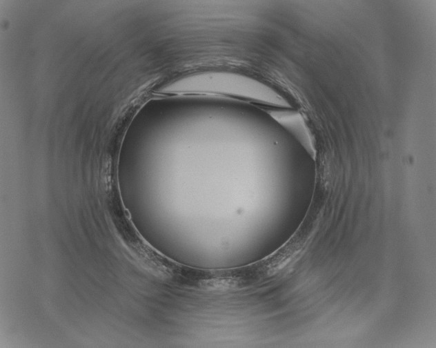 X0000071790356200607211628