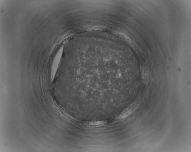 X0000071790357200607211628