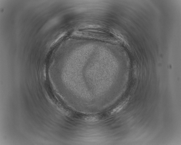 X0000071790358200607211628