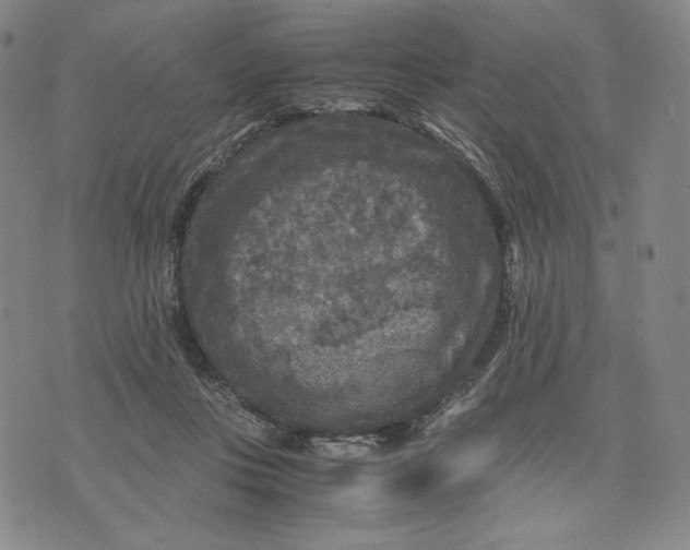 X0000071790359200607211628