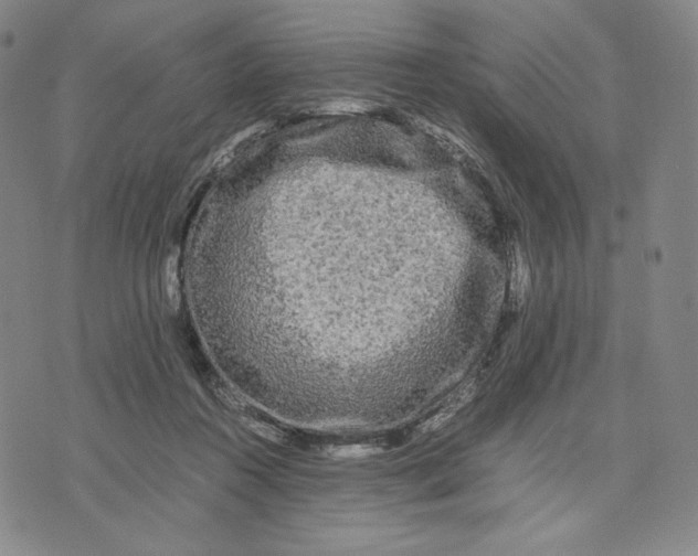 X0000071790360200607211628