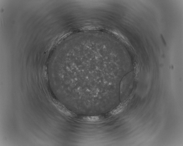 X0000071790361200607211628