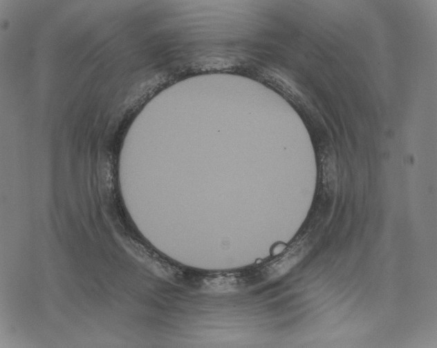 X0000071790362200607211628